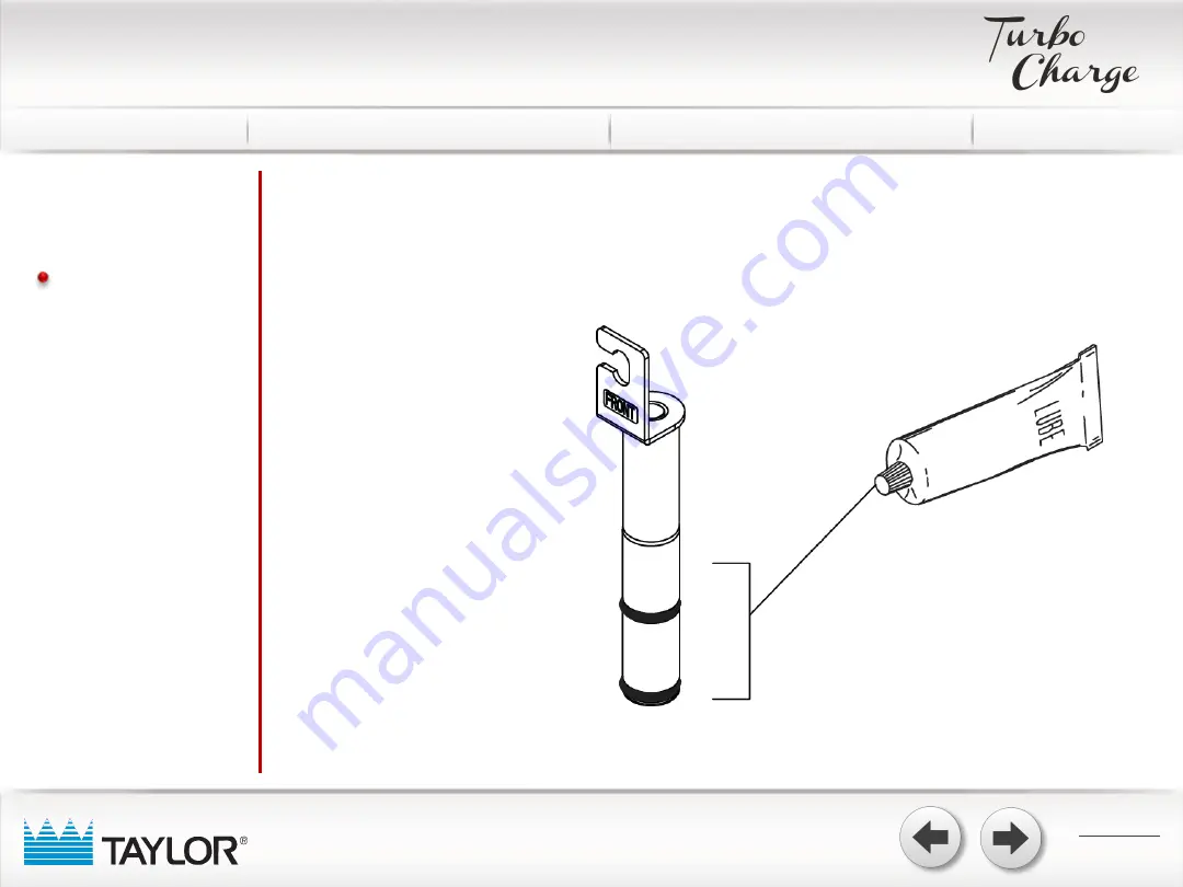 Taylor 490 Скачать руководство пользователя страница 10