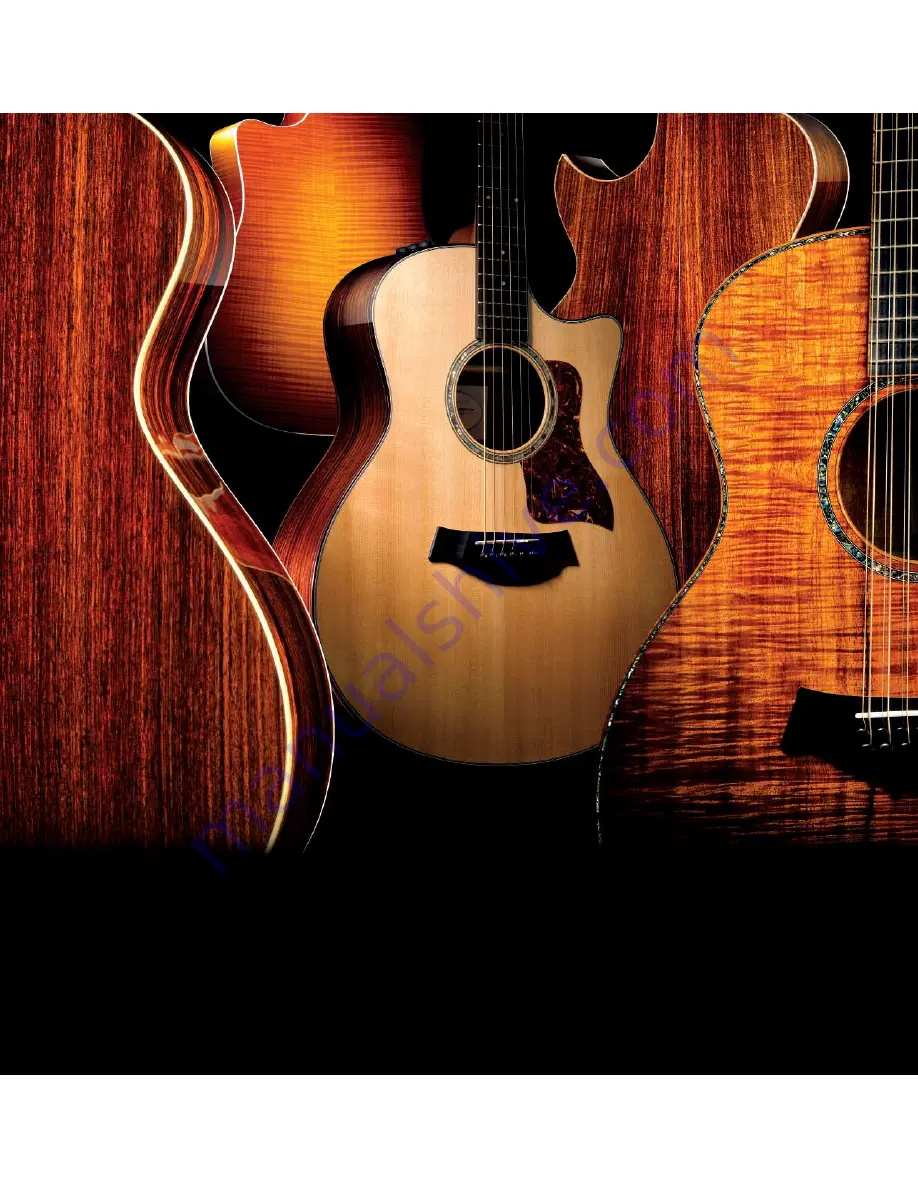 Taylor Acoustic 3 Скачать руководство пользователя страница 18