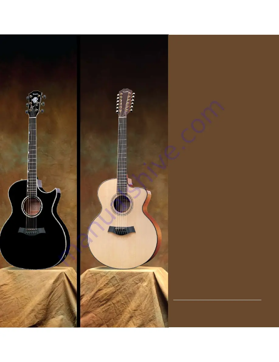 Taylor Acoustic 3 User Manual Download Page 47