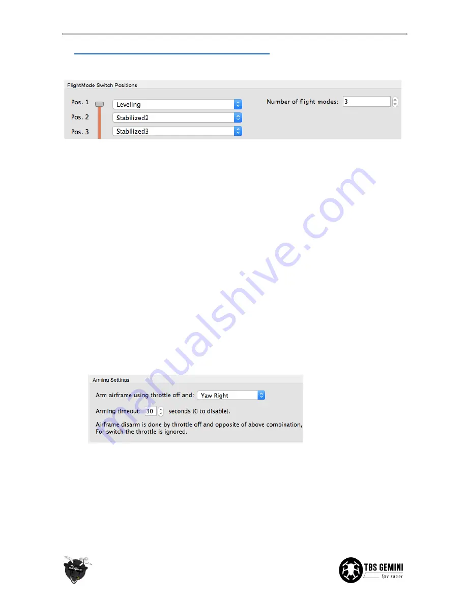 TBS GEMINI Mini FPV Hex Скачать руководство пользователя страница 14