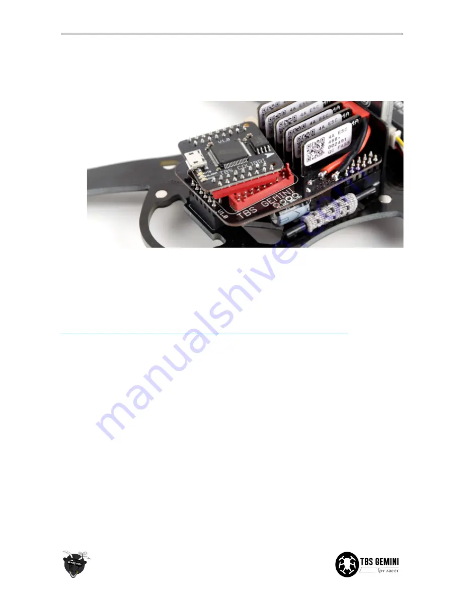 TBS GEMINI Mini FPV Hex User Manual Download Page 30