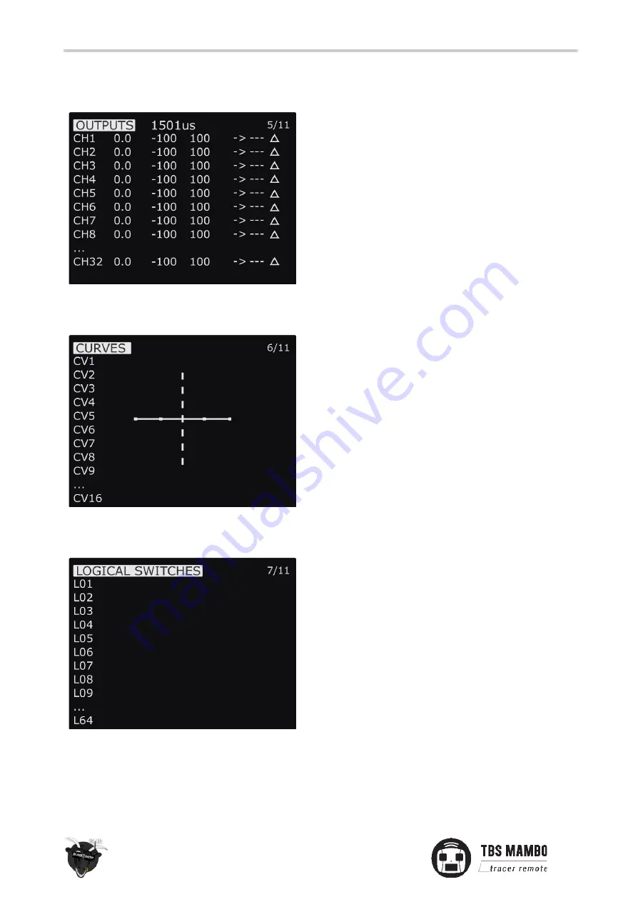 TBS MAMBO TBS TRACER Manual Download Page 24