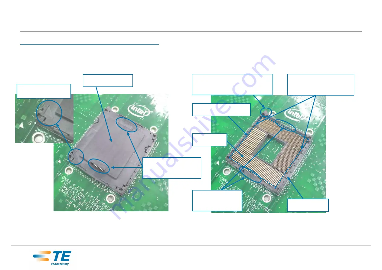 TE Connectivity LGA1356 Скачать руководство пользователя страница 3