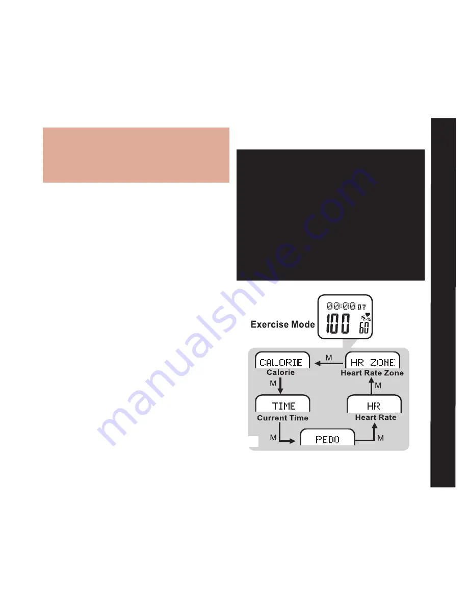 Tech4o Accelerator Pulse Owner'S Manual Download Page 9