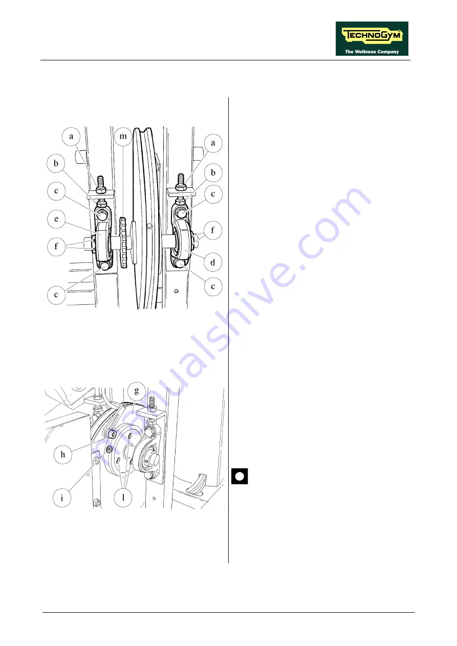 Technogym BIOSTRENGTH LINE Service Maintenance Manual Download Page 209