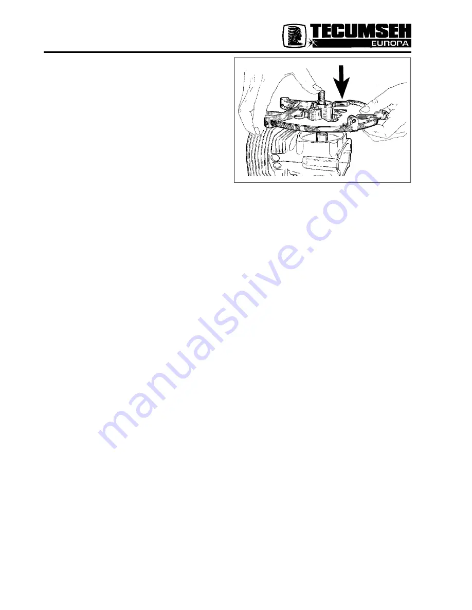 Tecumseh MV 100 S Service And Repair Manual Download Page 65