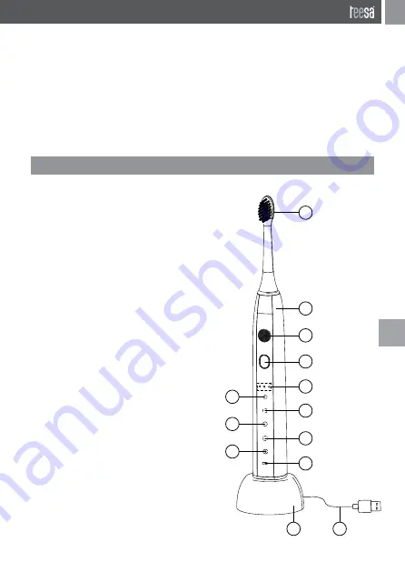 Teesa TSA8015P Owner'S Manual Download Page 19