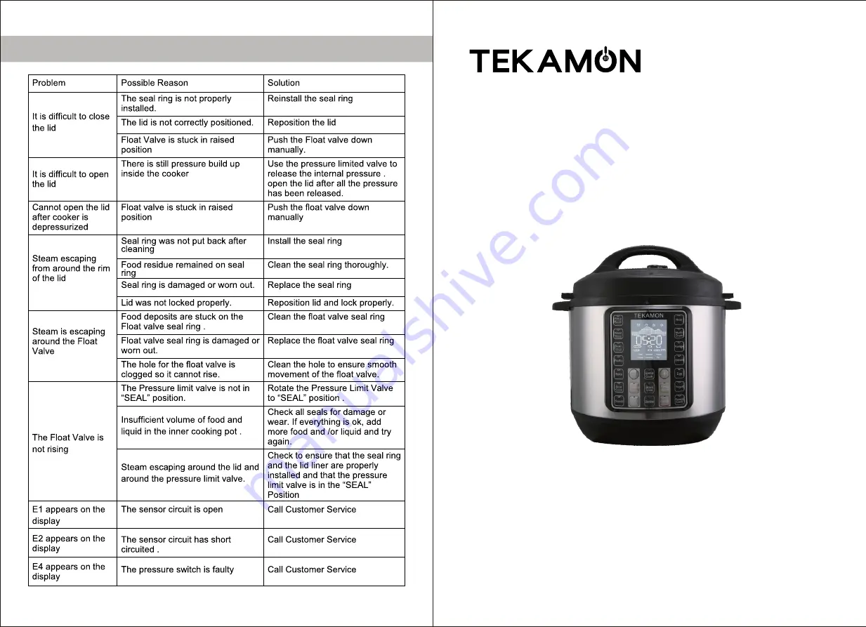 TEKAMON YBW60-100F User Manual Download Page 1