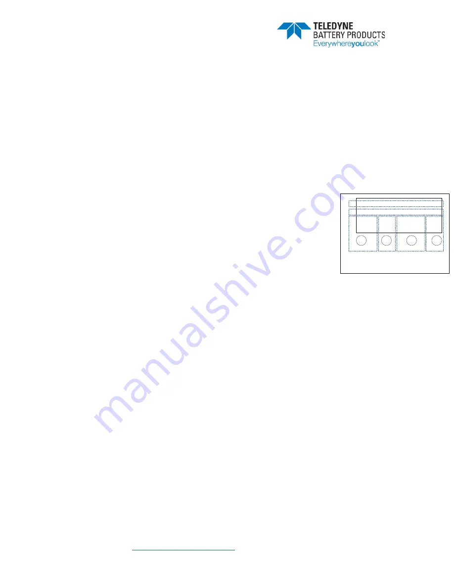 Teledyne TDMC+ Manual Download Page 8