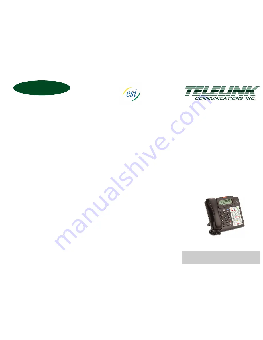 Telelink ESI IVX Conference Calls Quick Start Manual Download Page 1