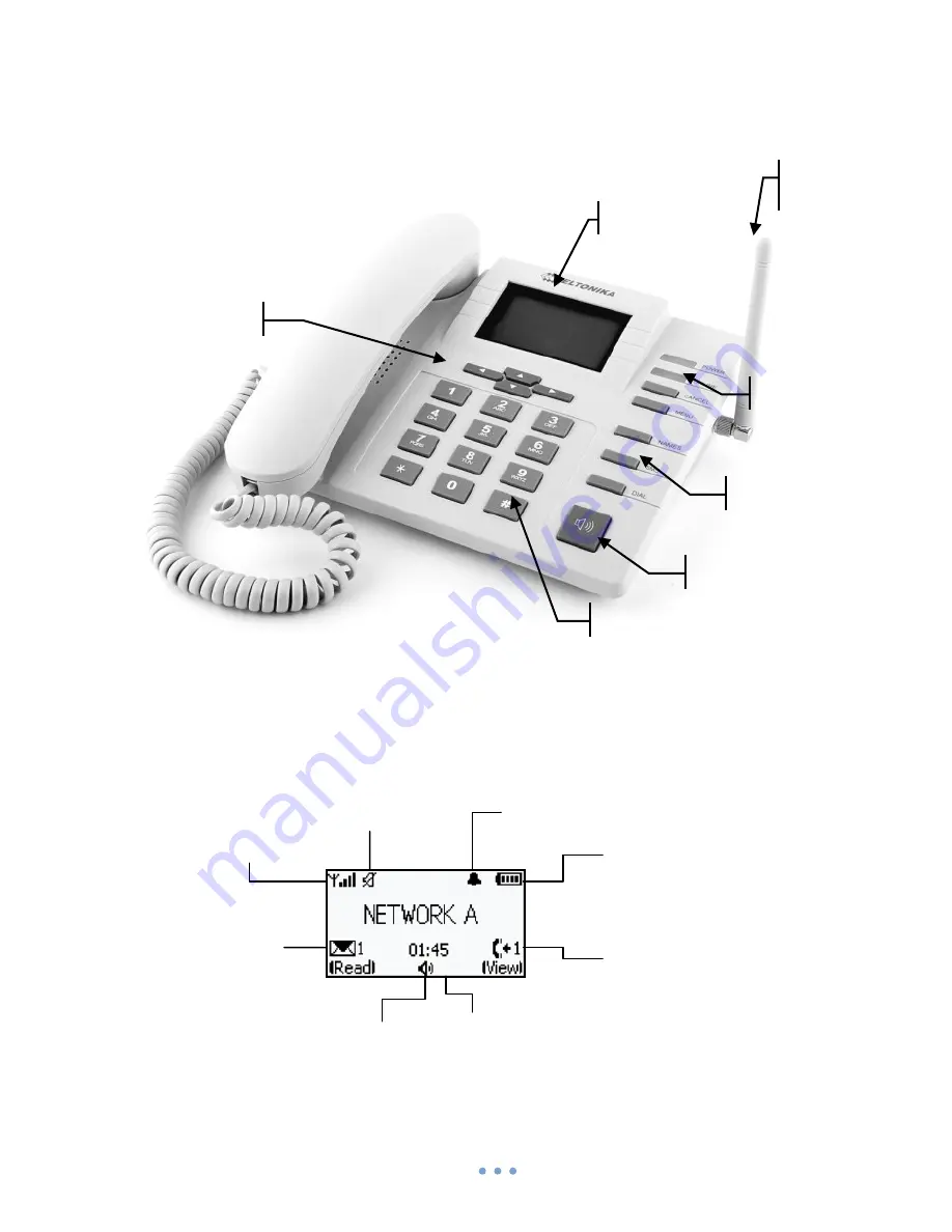 Teltonika DPH200 User Manual Download Page 8