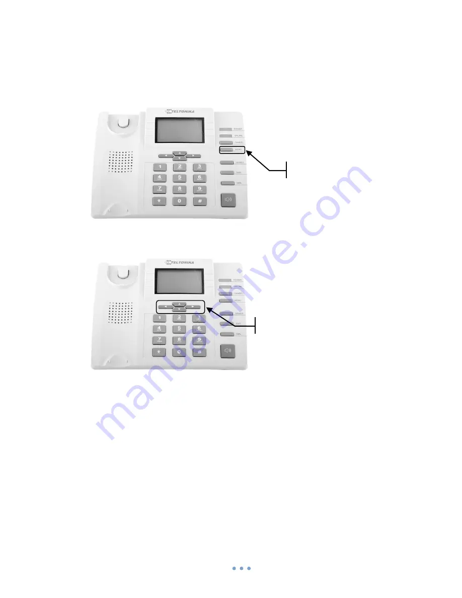 Teltonika DPH200 User Manual Download Page 9