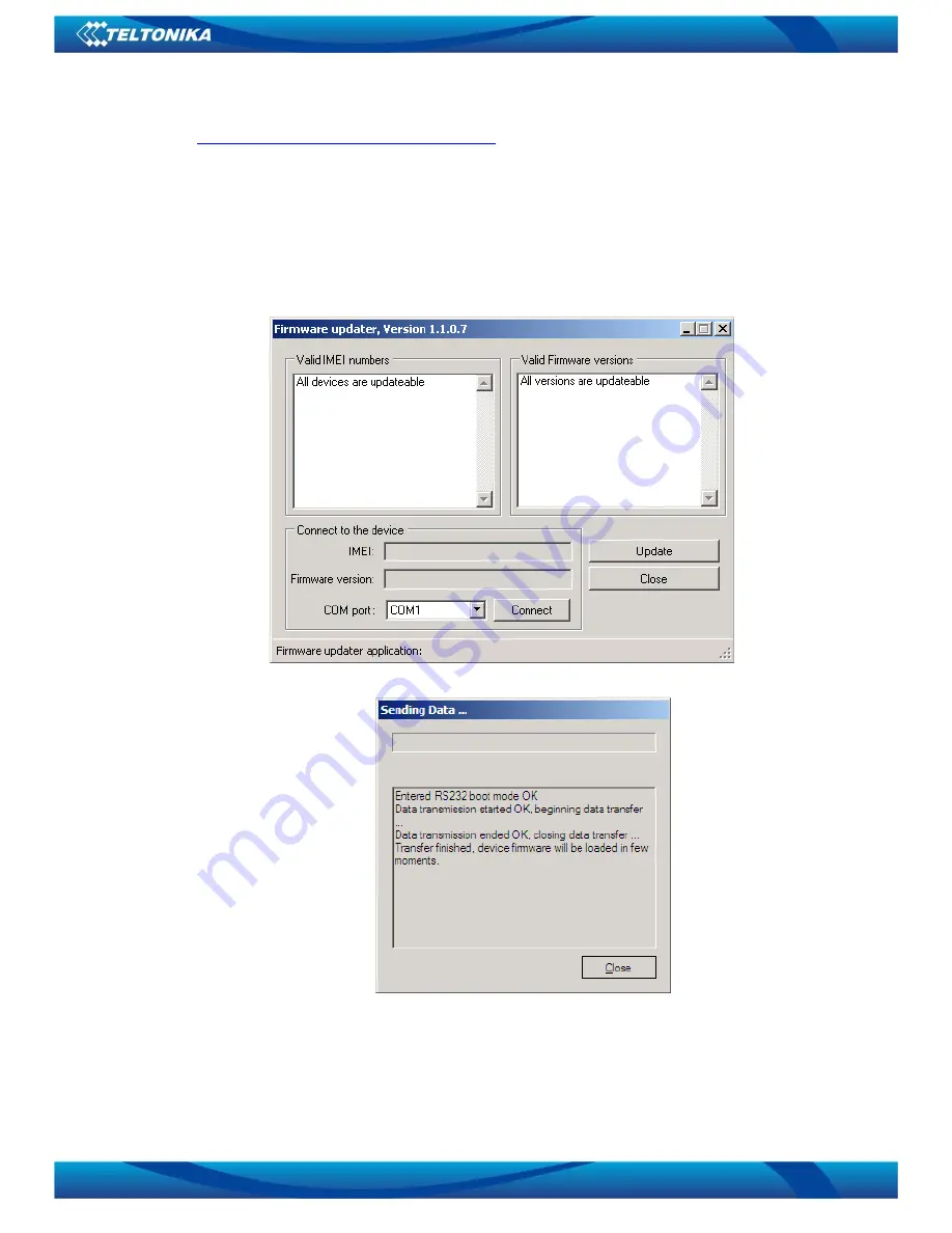 Teltonika FM1100 User Manual Download Page 20