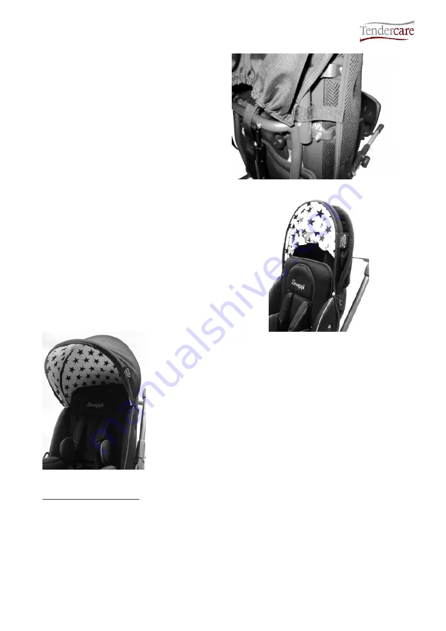 Tendercare Snappi Seat User Manual Download Page 29