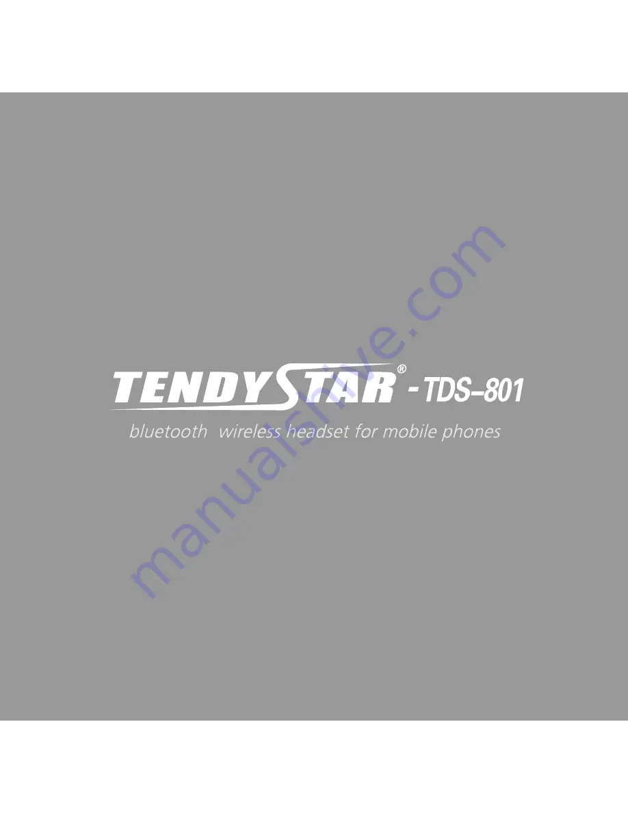 TendyStar TDS-801 Скачать руководство пользователя страница 12