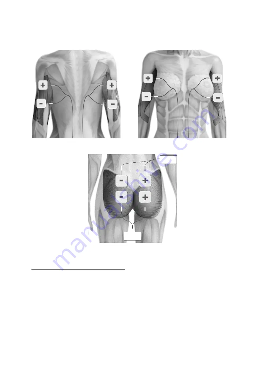 TensCare BEAUTYMAX Instructions For Use Manual Download Page 24