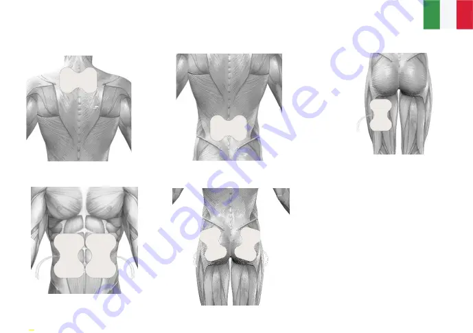 TensCare E-BF155 Instructions For Use Manual Download Page 15