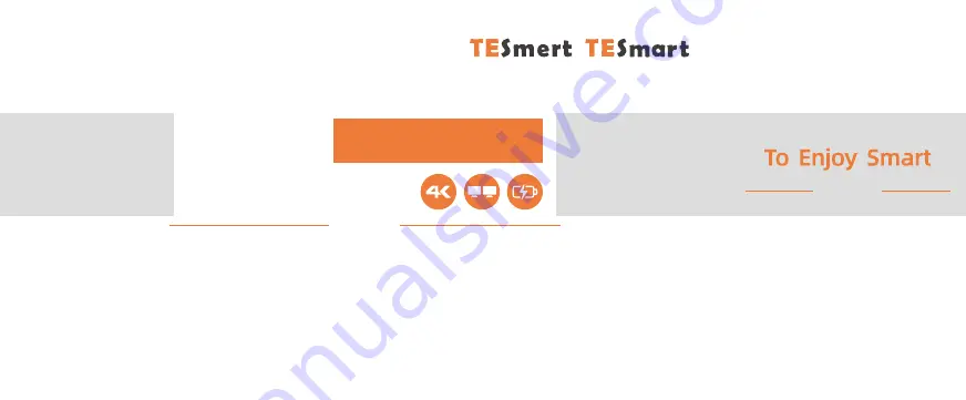 TESmart HCK0402A1U Скачать руководство пользователя страница 1