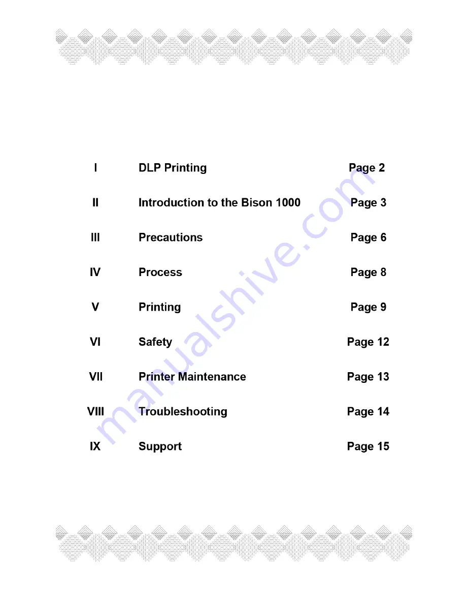 Tethon 3D Bison 1000 User Manual Download Page 2