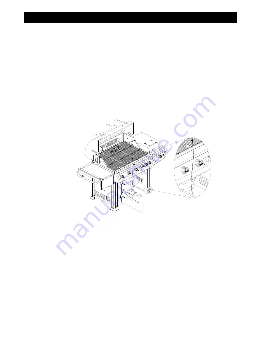 Teton Grill 720-0430 Скачать руководство пользователя страница 19