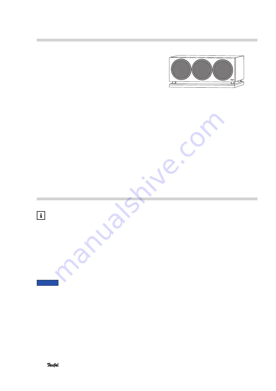 Teufel T 500 User Manual Download Page 4