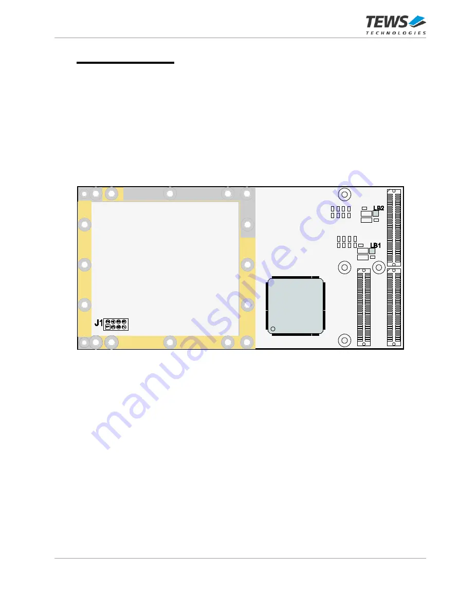 Tews Technologies TPMC316 Скачать руководство пользователя страница 20