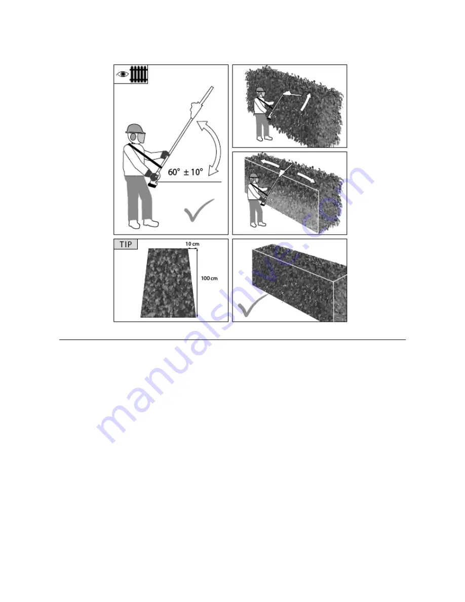 Texas Equipment Smart Hedge 500 User Manual Download Page 21