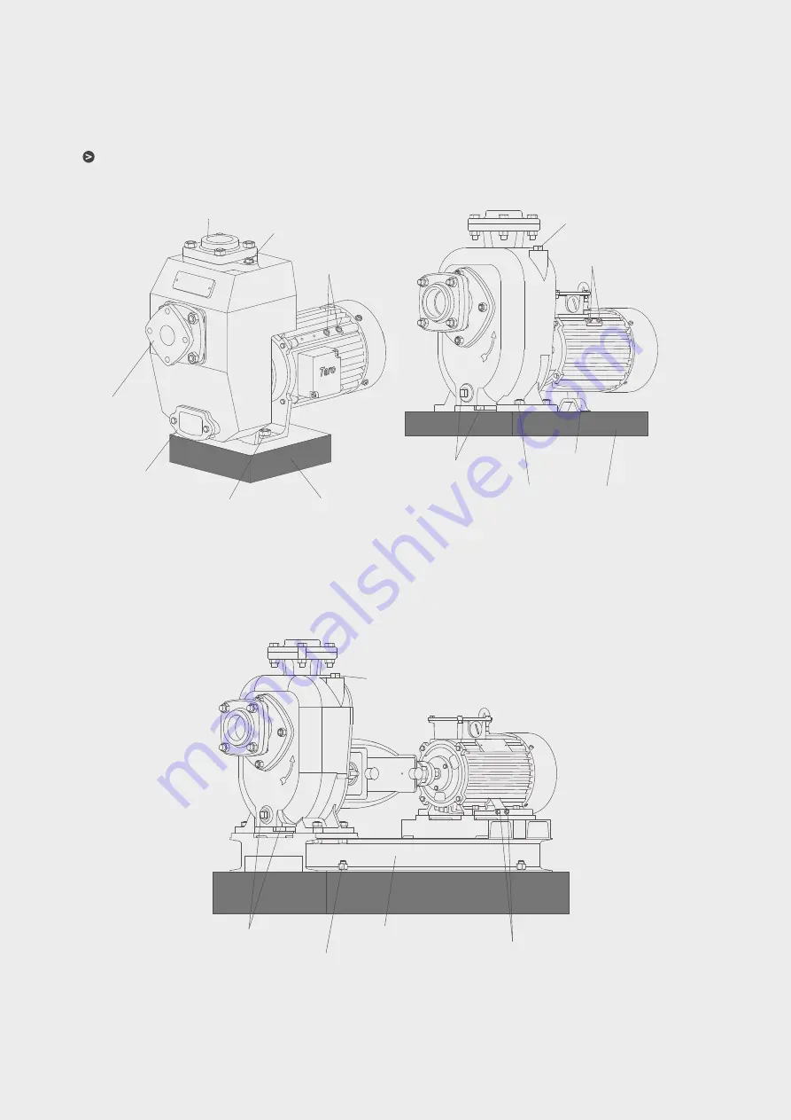 Texmo Industries Taro Pumps NCH 2250 Скачать руководство пользователя страница 17