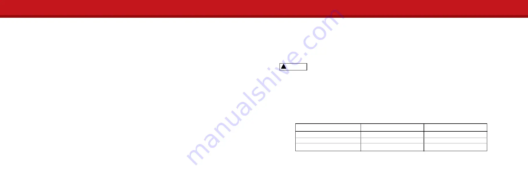 Thane International Flavor Chef User Manual Download Page 6