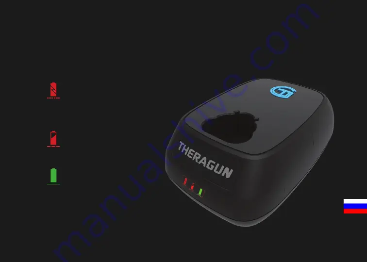 THERAGUN G2PRO Owner'S Manual Download Page 79