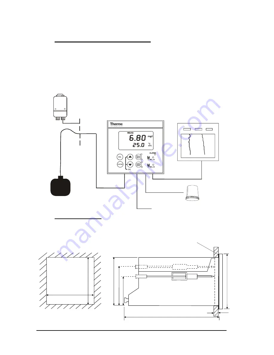 Thermo Scientific Alpha DO 1000 Manual Download Page 10