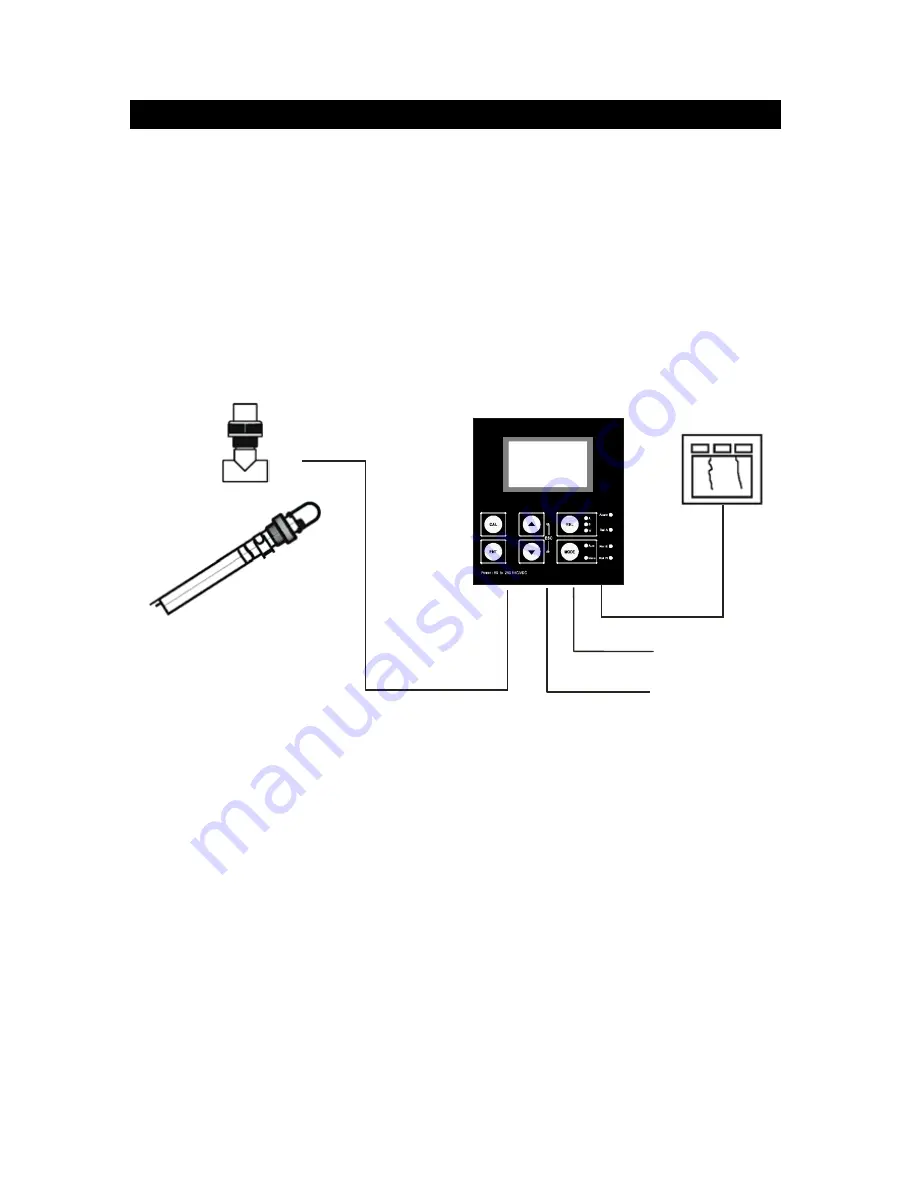 Thermo Scientific ALPHA DO 2000 PG POLAROGRAPHIC DISSOLVED OXYGEN CONTROLLER TRANSMITTER Скачать руководство пользователя страница 12