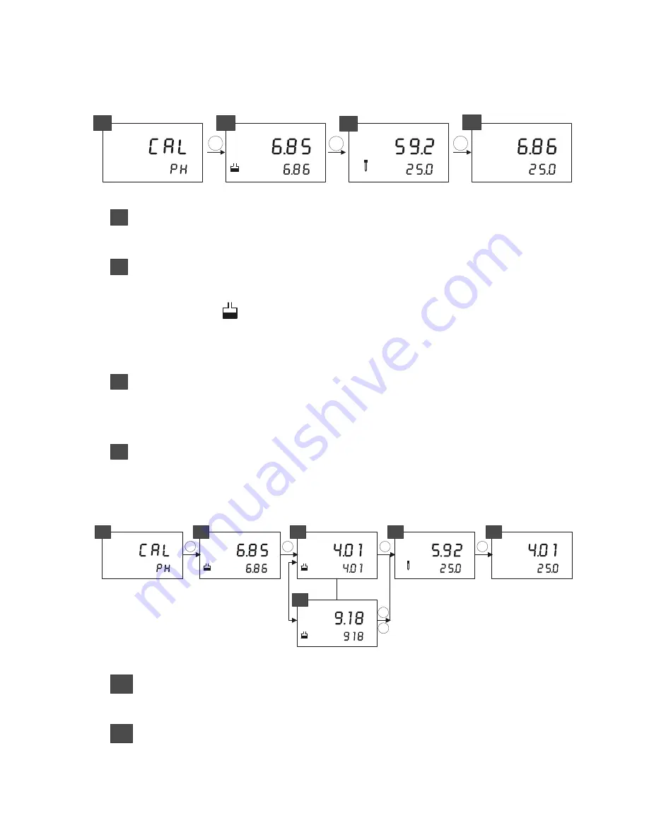 Thermo Scientific Alpha pH 600 Скачать руководство пользователя страница 25