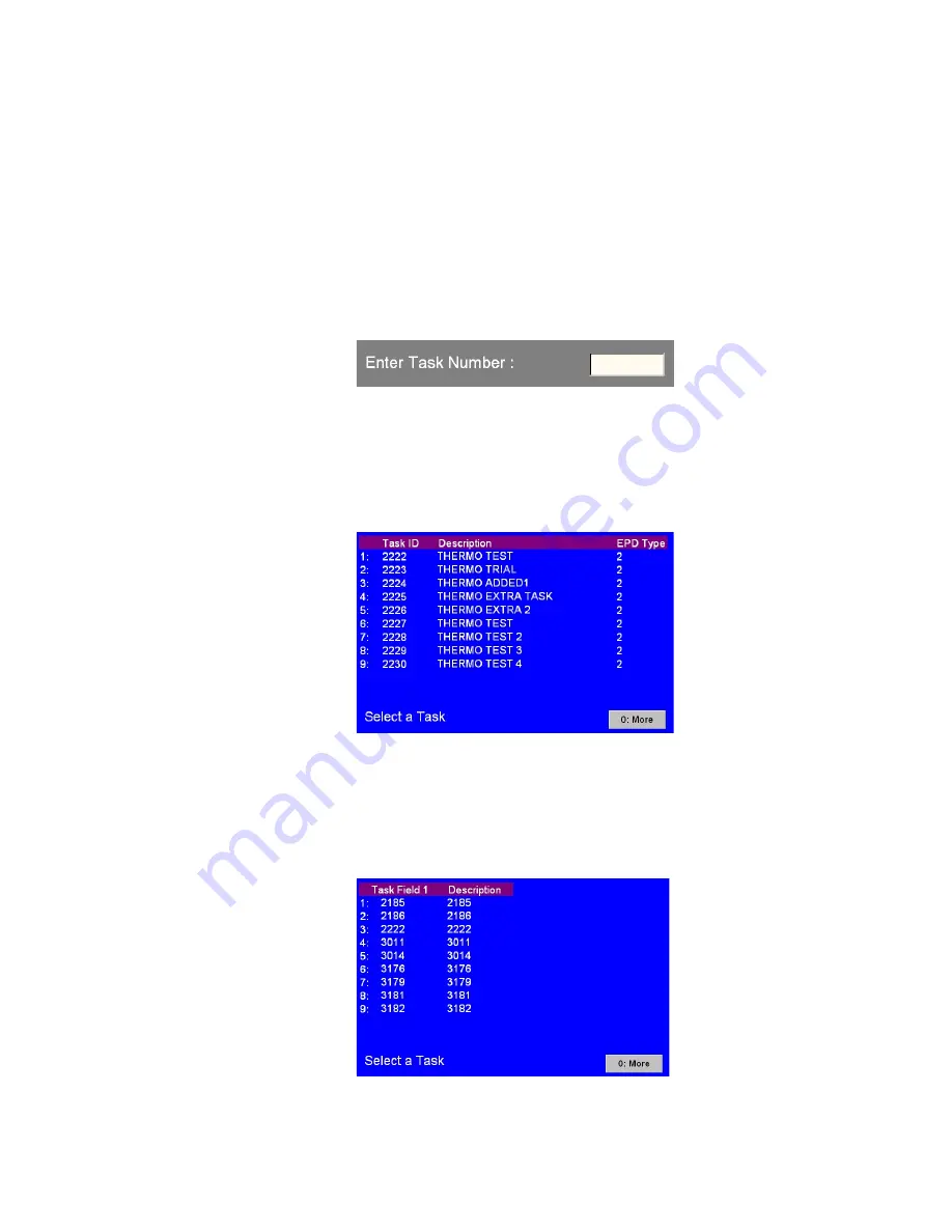 Thermo Scientific DCS4 Manual Download Page 37