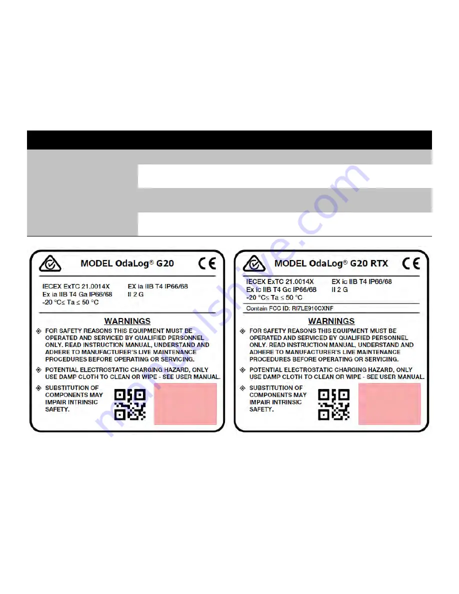 Thermo Scientific Odalog G20 User Manual Download Page 5