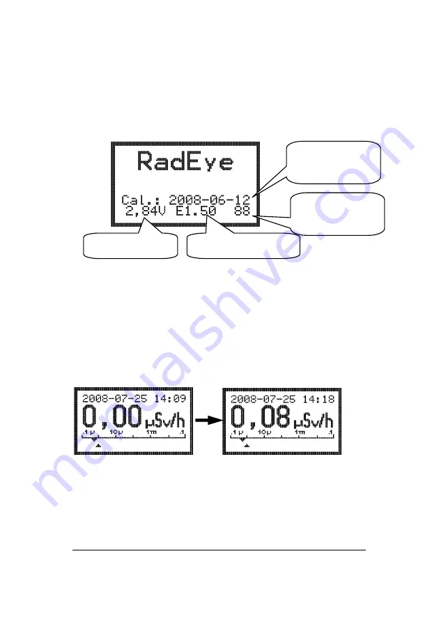 Thermo Scientific RadEye GF Скачать руководство пользователя страница 21