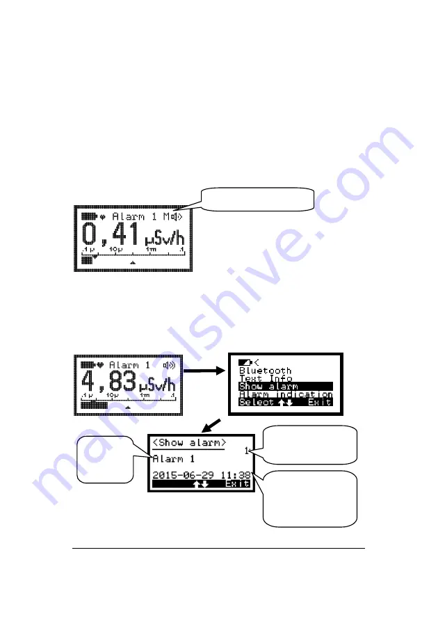 Thermo Scientific RadEye GF Скачать руководство пользователя страница 40