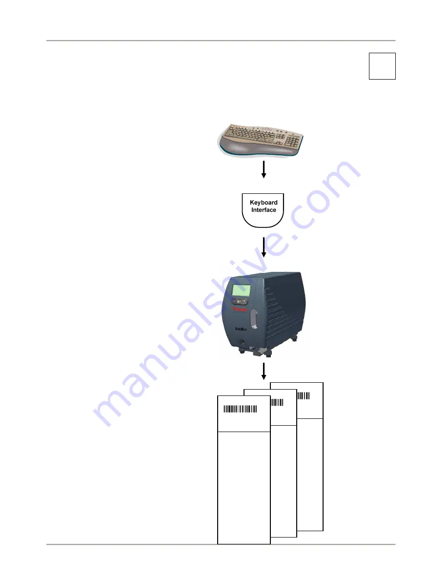 Thermo Scientific SlideMate Скачать руководство пользователя страница 55