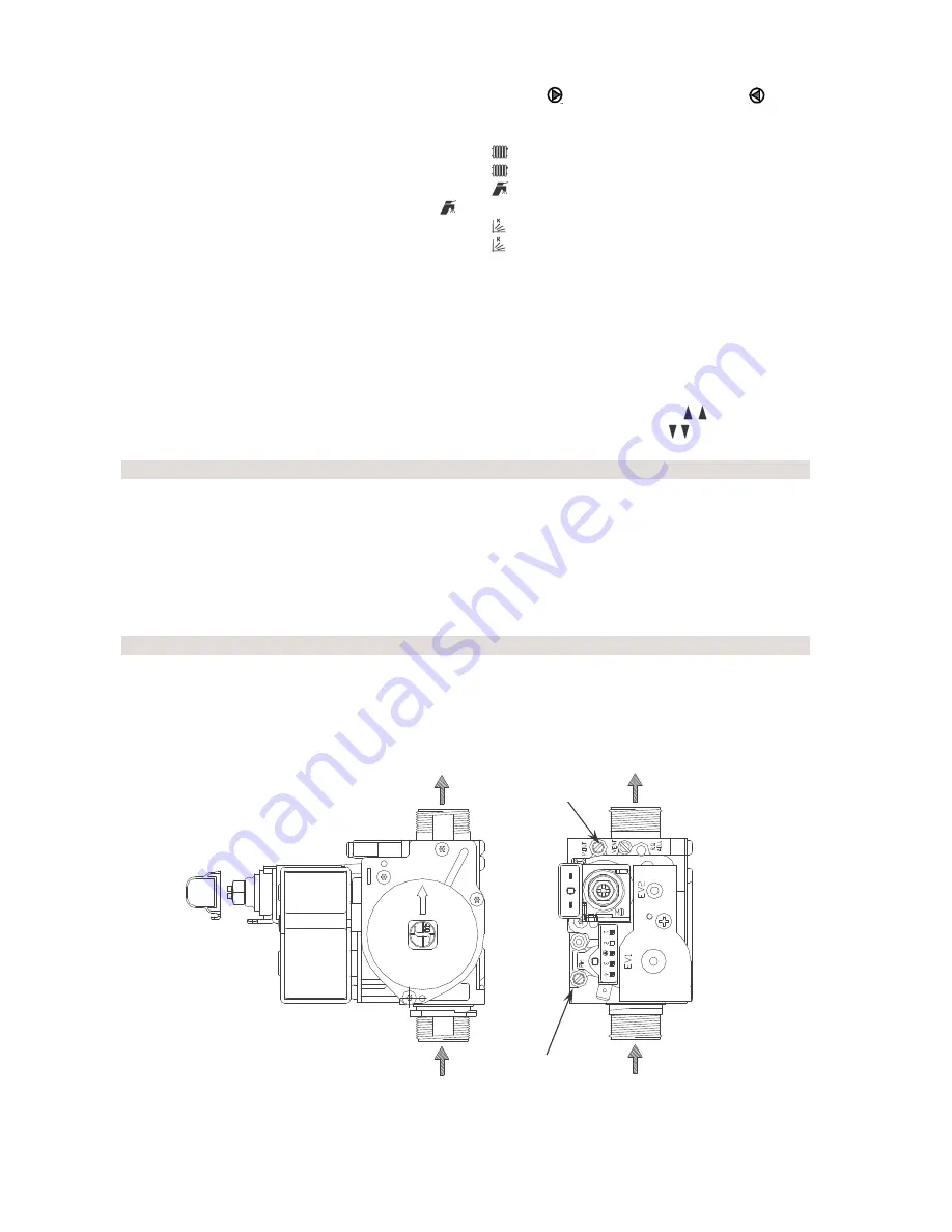 Thermona Therm DUO 50 FT Manual For Installation And Maintenance Download Page 10