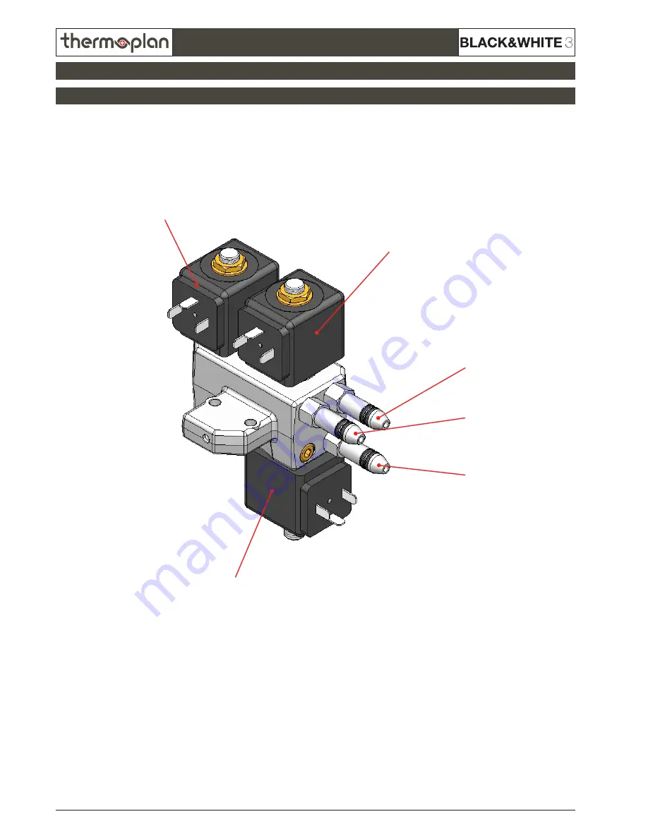 Thermoplan Black&Whute3 CBT Скачать руководство пользователя страница 42