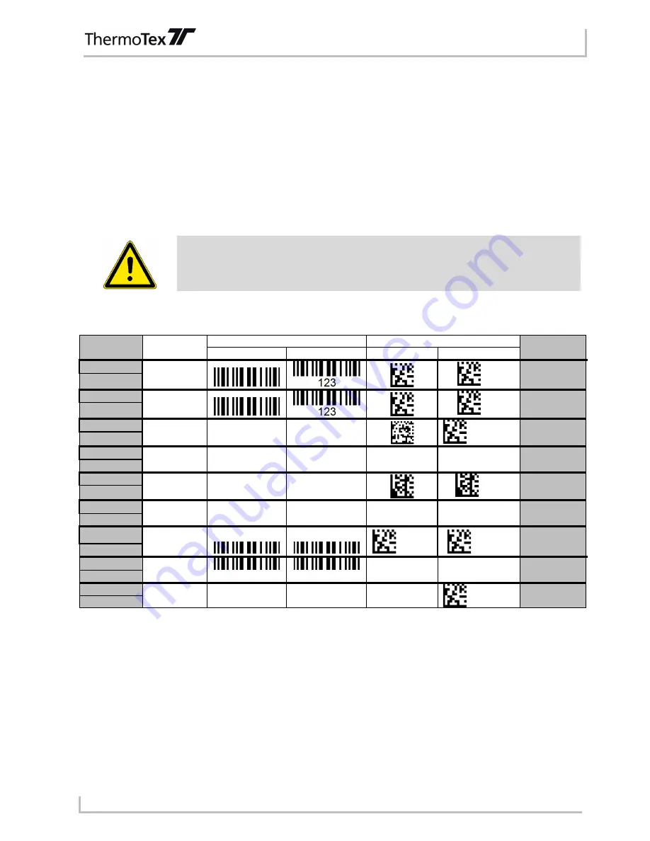 ThermoTex Thermo-Ident 1 Скачать руководство пользователя страница 22