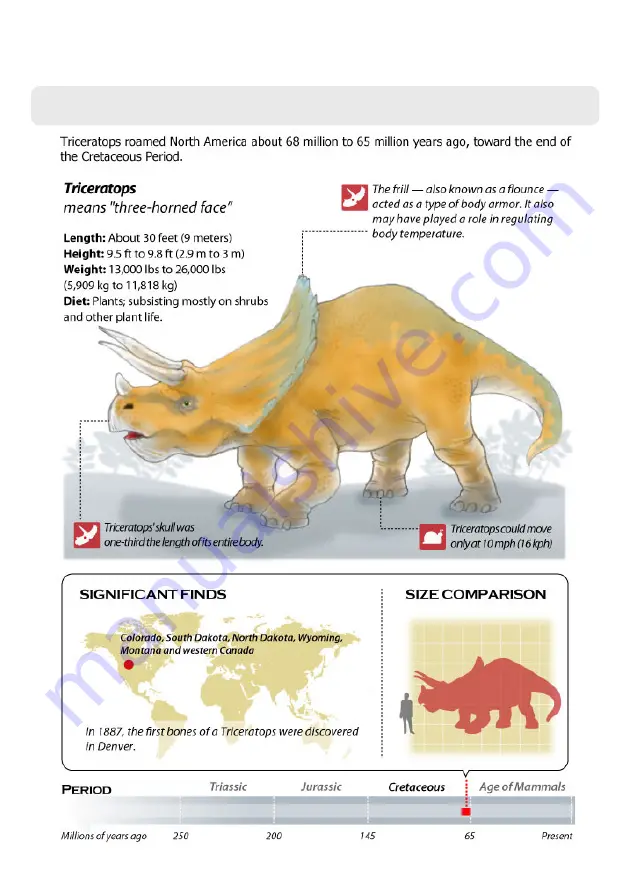 THINK GIZMOS DINO TRICERATOPS User Manual Download Page 19