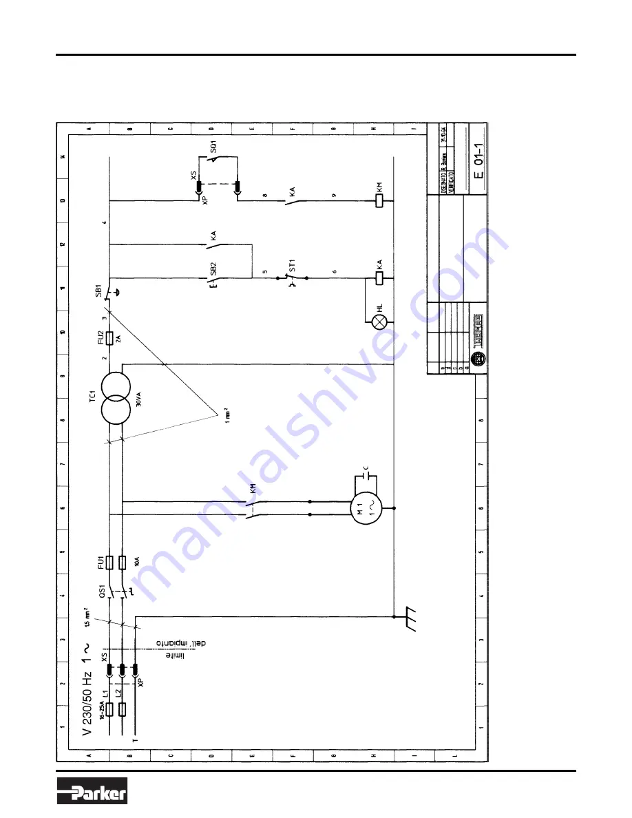 Thomas Cut 250 Use And Maintenance Manual Download Page 17