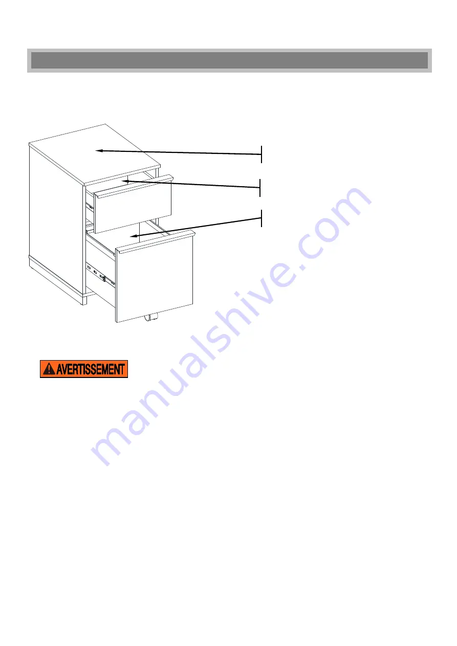 Thomasville Latimer SPLS-LADF-TV Manual Download Page 10