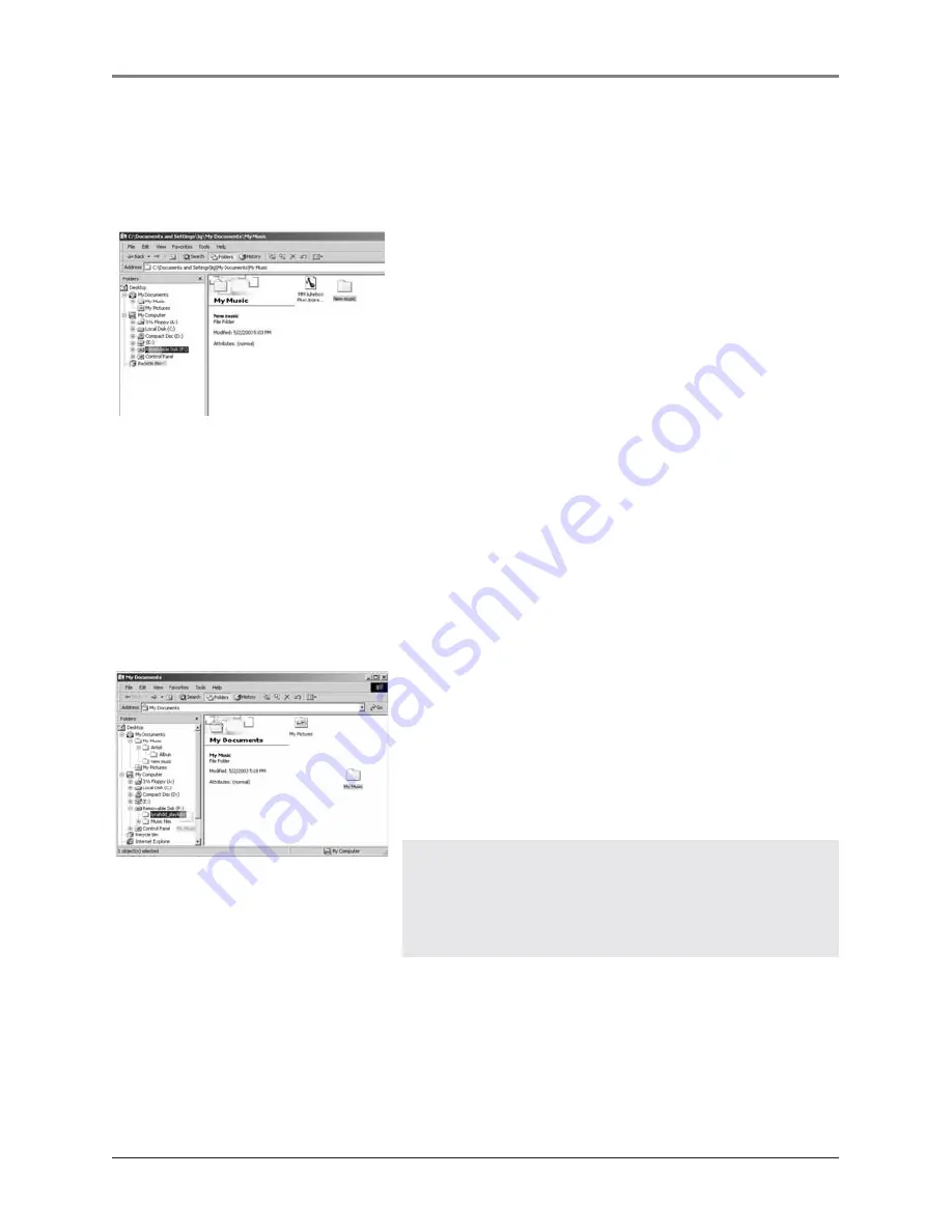 THOMSON Lyra PDP2810 User Manual Download Page 17