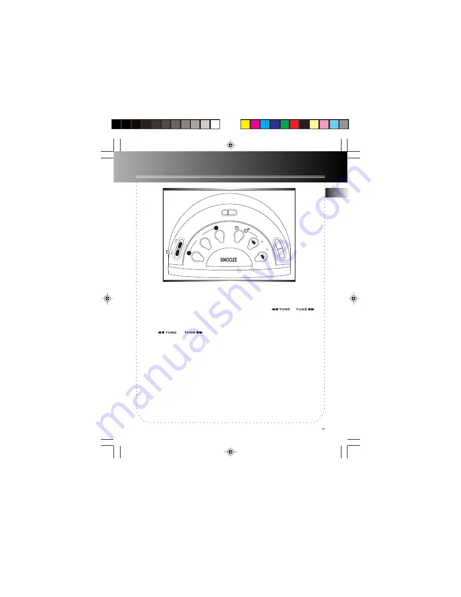 THOMSON RR95 Manual Download Page 6