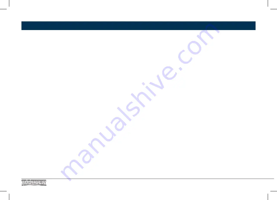 Thunder TDR02026 Instruction Manual Download Page 3