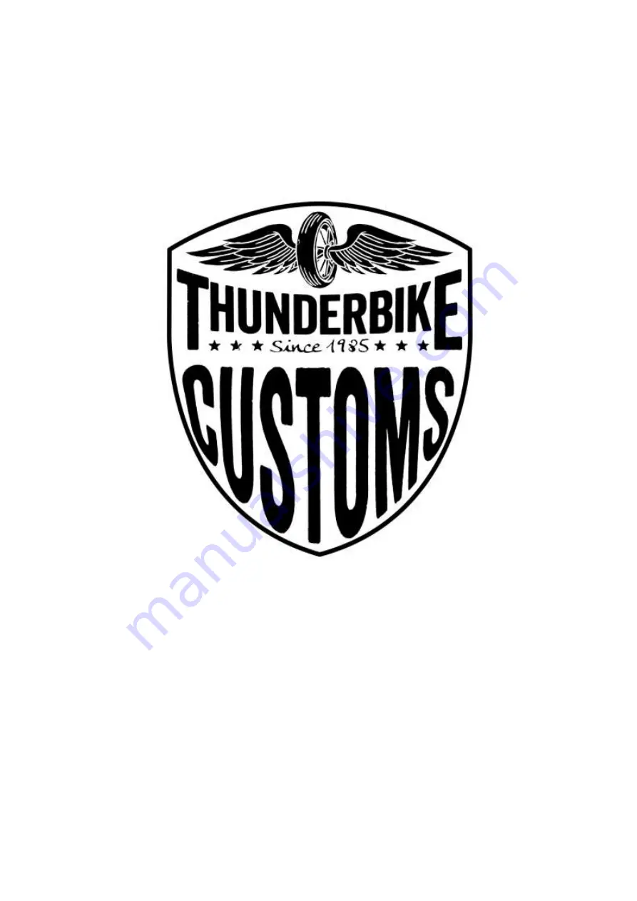 Thunderbike M8 LONG Скачать руководство пользователя страница 7