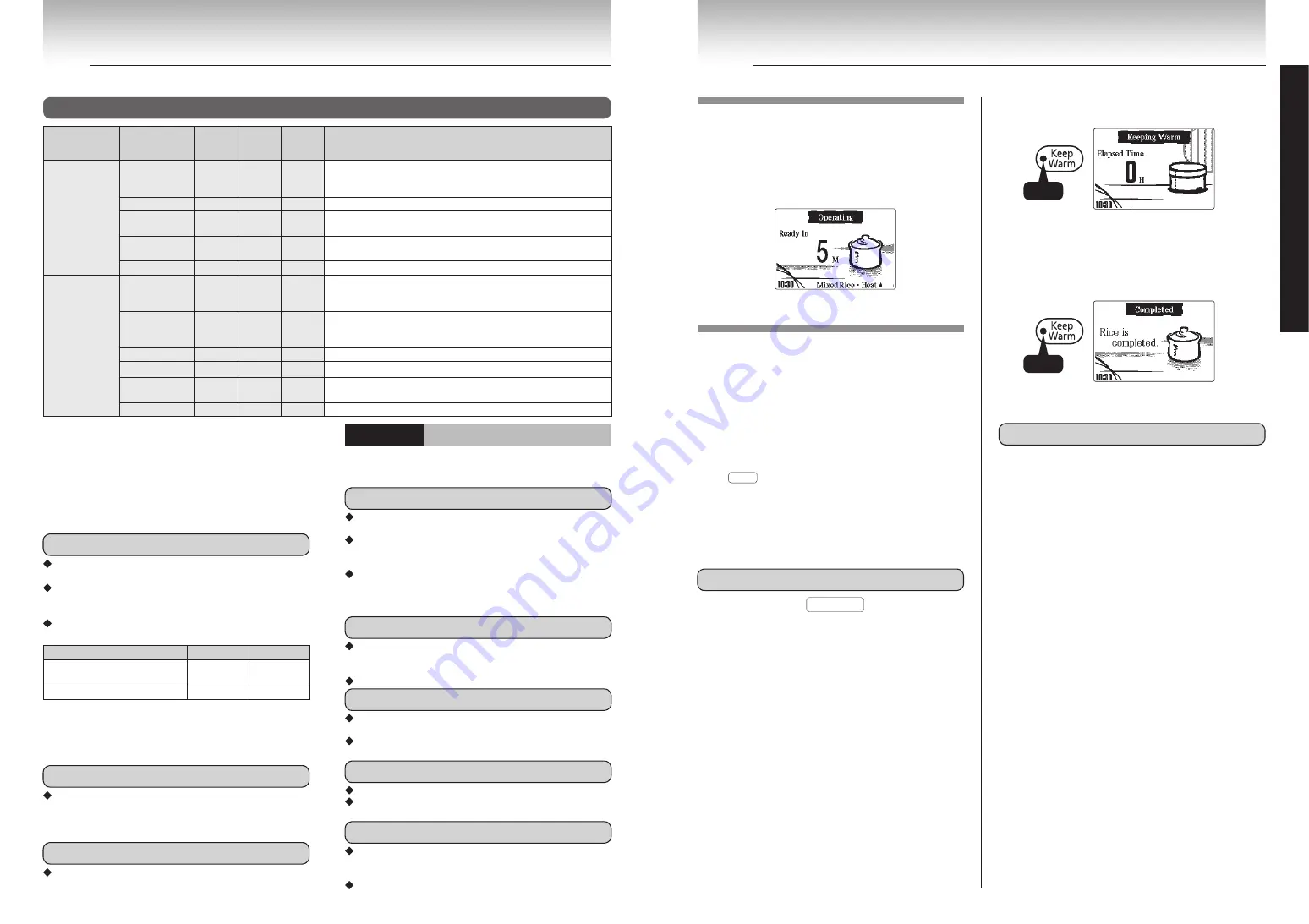 Tiger JKL-T10W User Manual Download Page 12