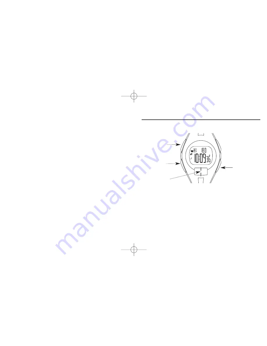 Timex Digital Heart Rate Monitor User Manual Download Page 40